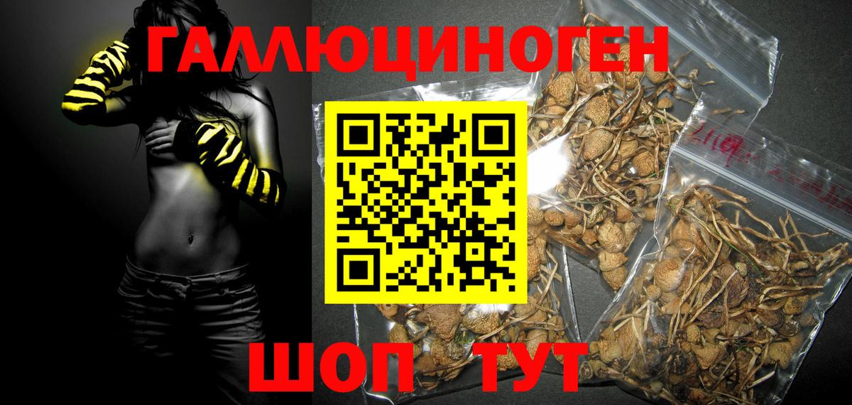 Новоуральск  Псилоцибиновые грибы MAGIC MUSHROOMS  Вход с VPN 
